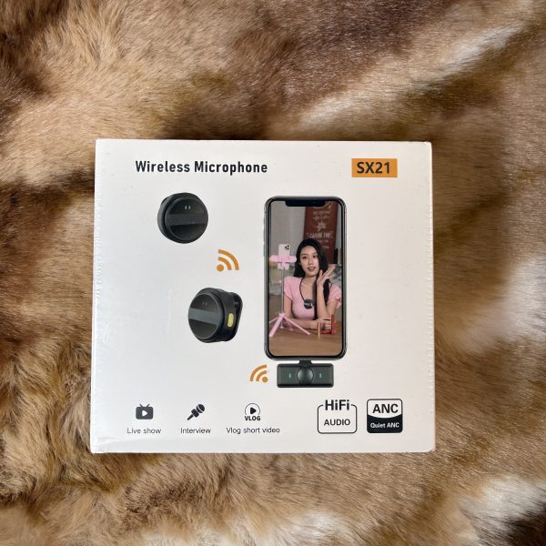 SX21 Dual 2.4G Wireless Microphone Type-C with Charging Case